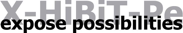 X-HiBiT-Pe expose possibilities